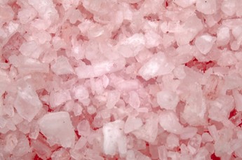 Himalayan  Salt 16oz  1lb